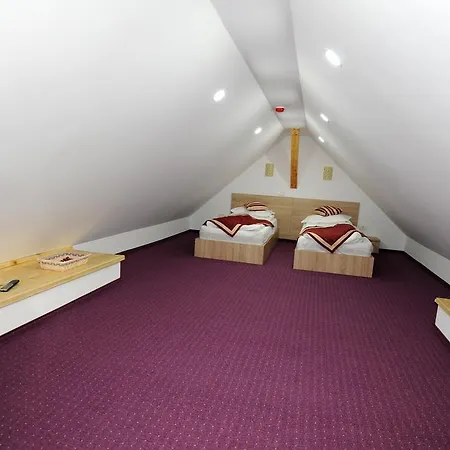 Casa Tad Guest house Busteni