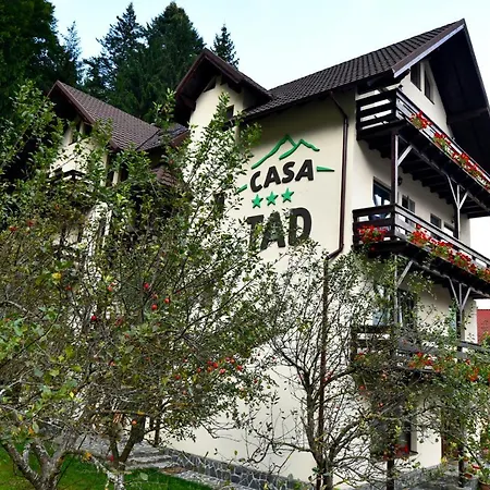 Casa Tad Guest house Busteni