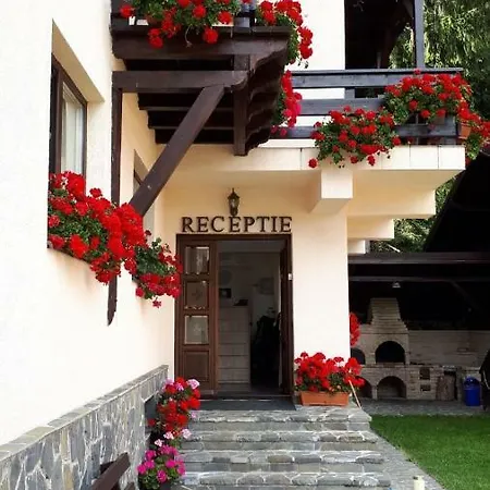 Guest house Casa Tad 3*