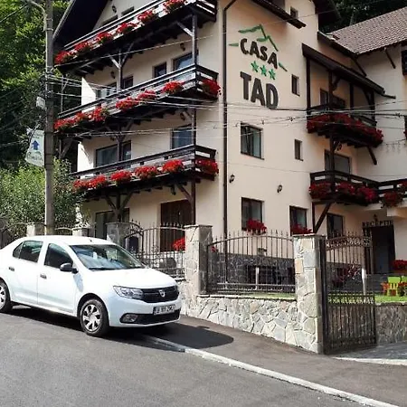 Casa Tad Busteni